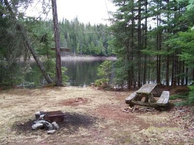 Basford Rips Campsite campsite in St. John River Campsites