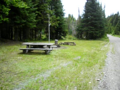 Blue Pond Campsite campsite in Allagash Region Campsites