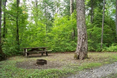 Carr Pond Campsite campsite in Ashland Region Campsites
