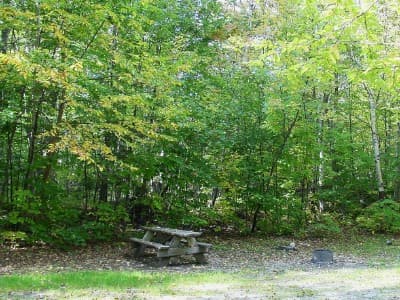 E. Branch Pleasant River (Campsite #2) campsite in KI Jo-Mary