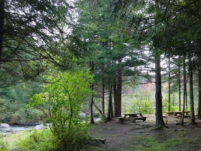 E. Branch Pleasant River (Campsite #3) campsite in KI Jo-Mary