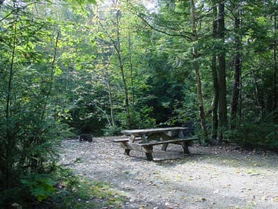 Johnston Brook campsite in KI Jo-Mary