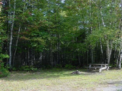Johnston Pond (Campsite #1) campsite in KI Jo-Mary