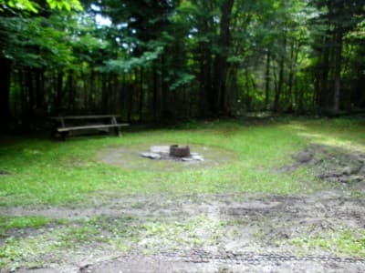 Little Falls Pond Campsite campsite in Allagash Region Campsites