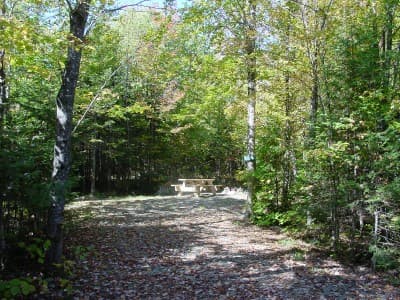 Long Pond (Campsite #3) campsite in KI Jo-Mary