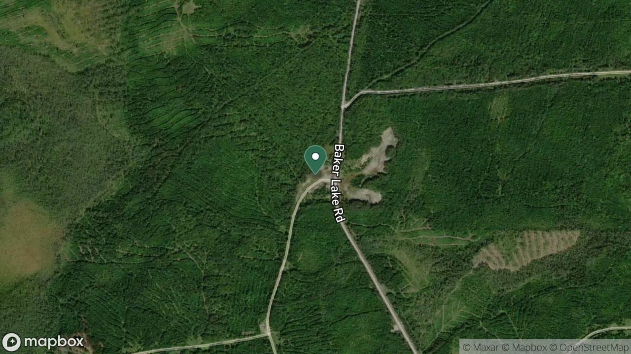 Baker Lake Road campsite in Fire Permit Sites