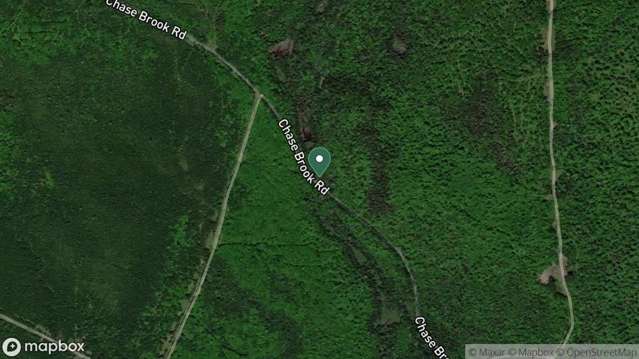 Chase Brook Road Campsite campsite in Ashland Region Campsites
