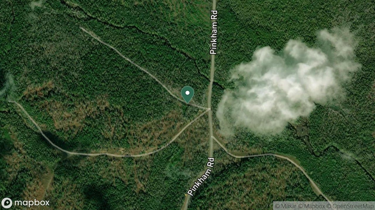 South Branch Machias River Campsite campsite in Ashland Region Campsites