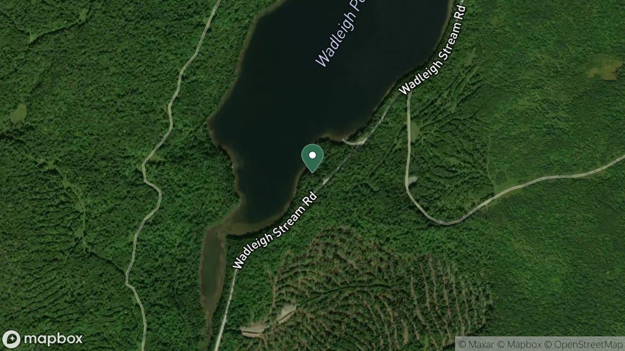 Wadleigh Pond South Campsite campsite in Caucomgomoc Region Campsites