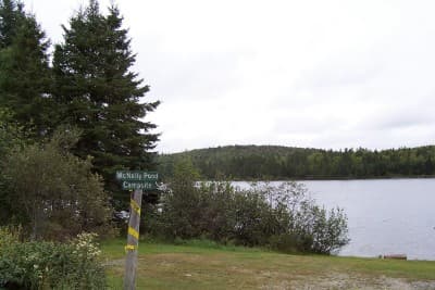 McNally Pond Campsite campsite in Ashland Region Campsites