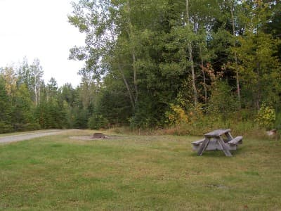 Millinocket Stream Campsite campsite in Ashland Region Campsites
