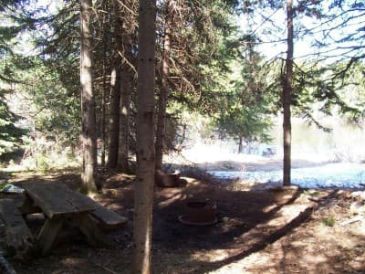 Morrison Depot Campsite campsite in St. John River Campsites