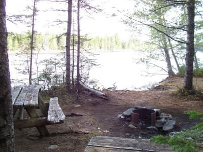 Northwest Branch Campsite campsite in St. John River Campsites