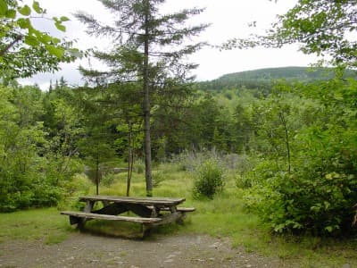Pleasant River (Campsite #6) campsite in KI Jo-Mary