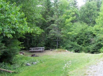 Smith Brook Campsite campsite in Ashland Region Campsites