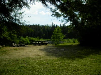 West Twin Brook #1 Campsite campsite in Allagash Region Campsites