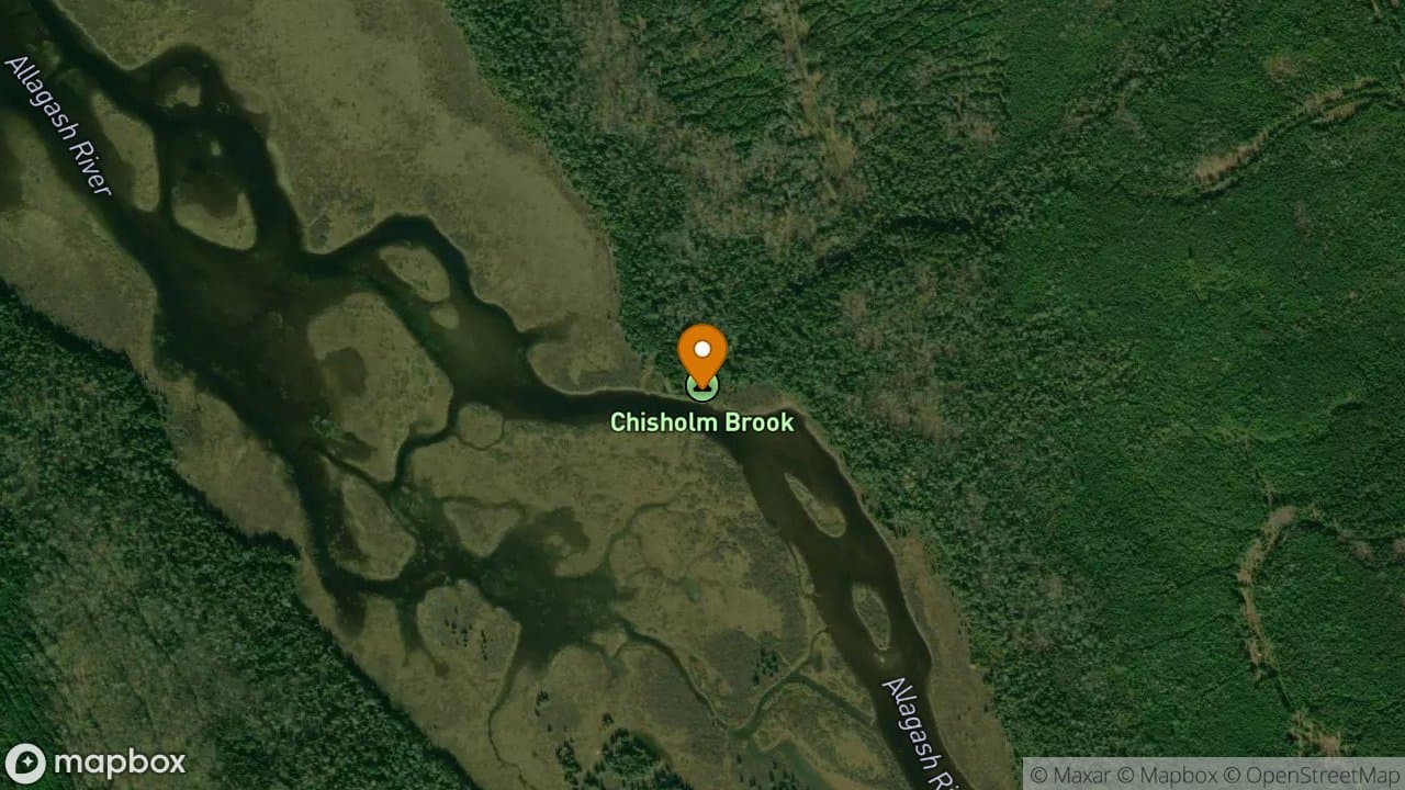Chisholm Brook campsite in Allagash Wilderness Waterway