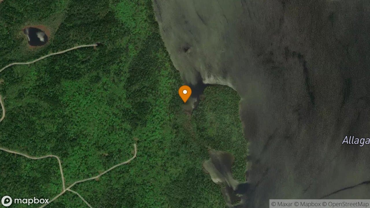 Cove campsite in Allagash Wilderness Waterway
