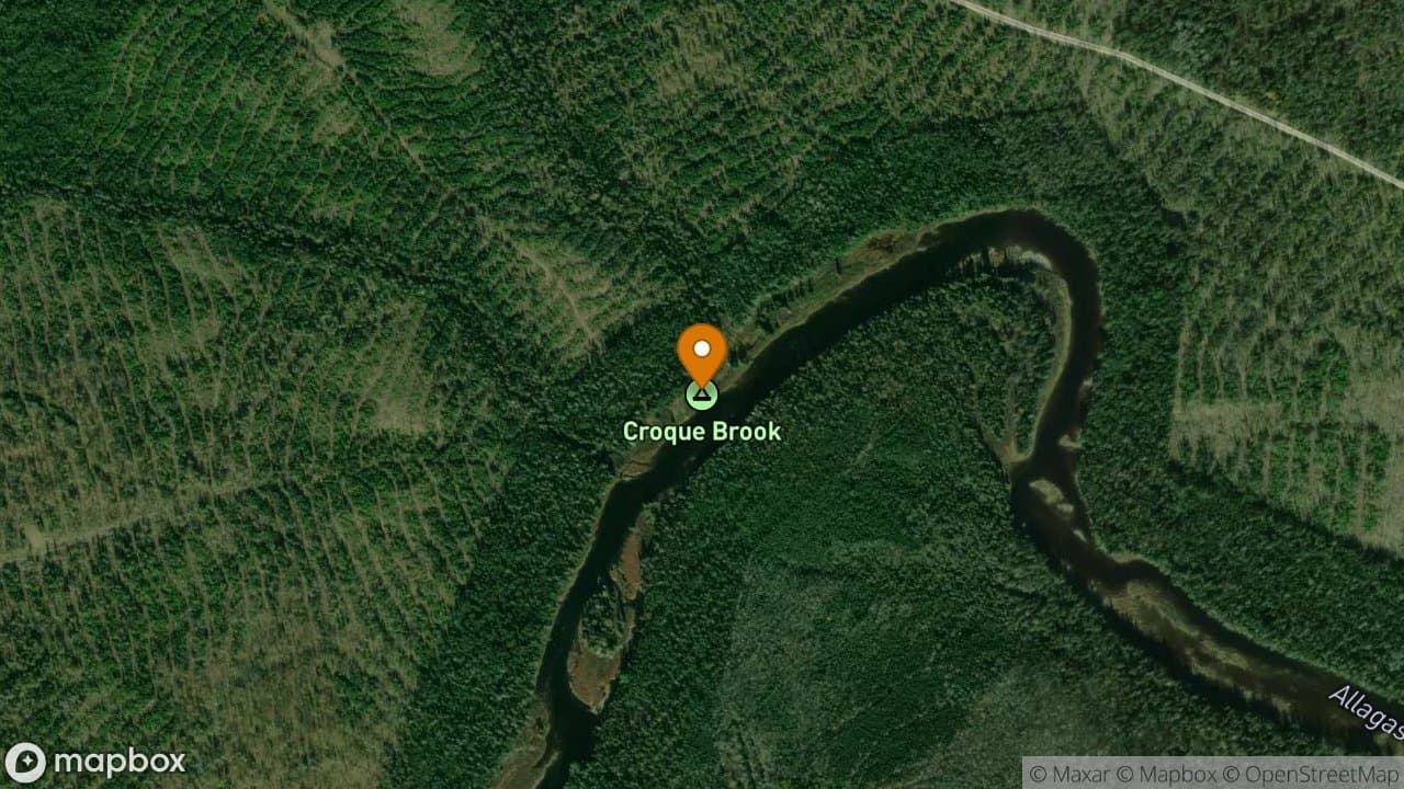Croque Brook campsite in Allagash Wilderness Waterway