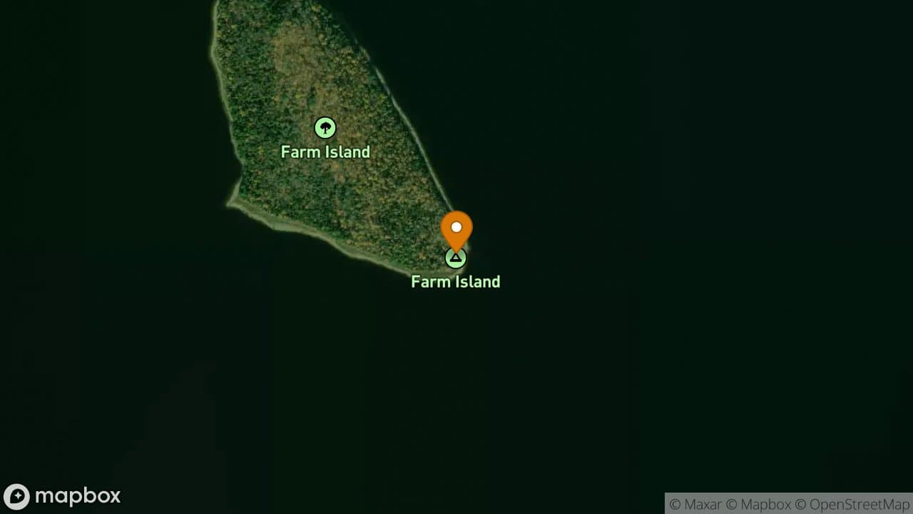 Farm Island campsite in Allagash Wilderness Waterway