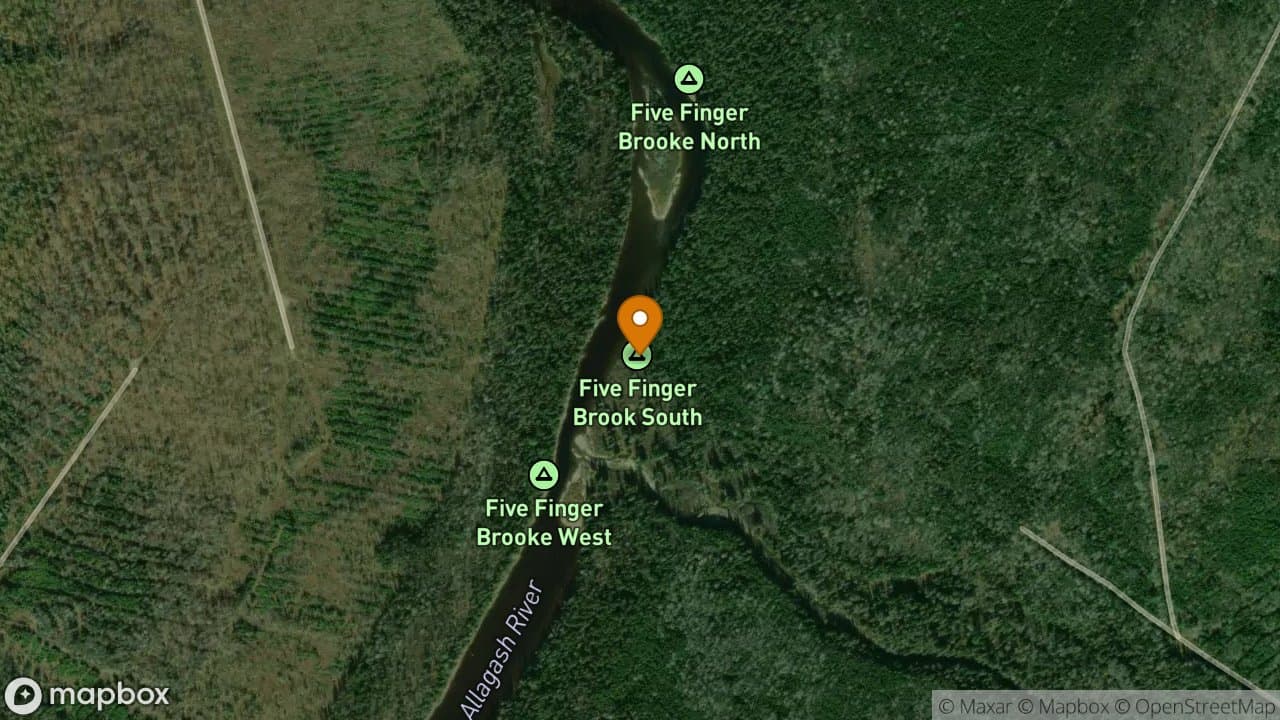 Five Finger South campsite in Allagash Wilderness Waterway