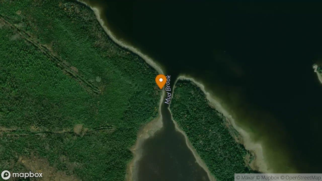 Mud Brook campsite in Allagash Wilderness Waterway