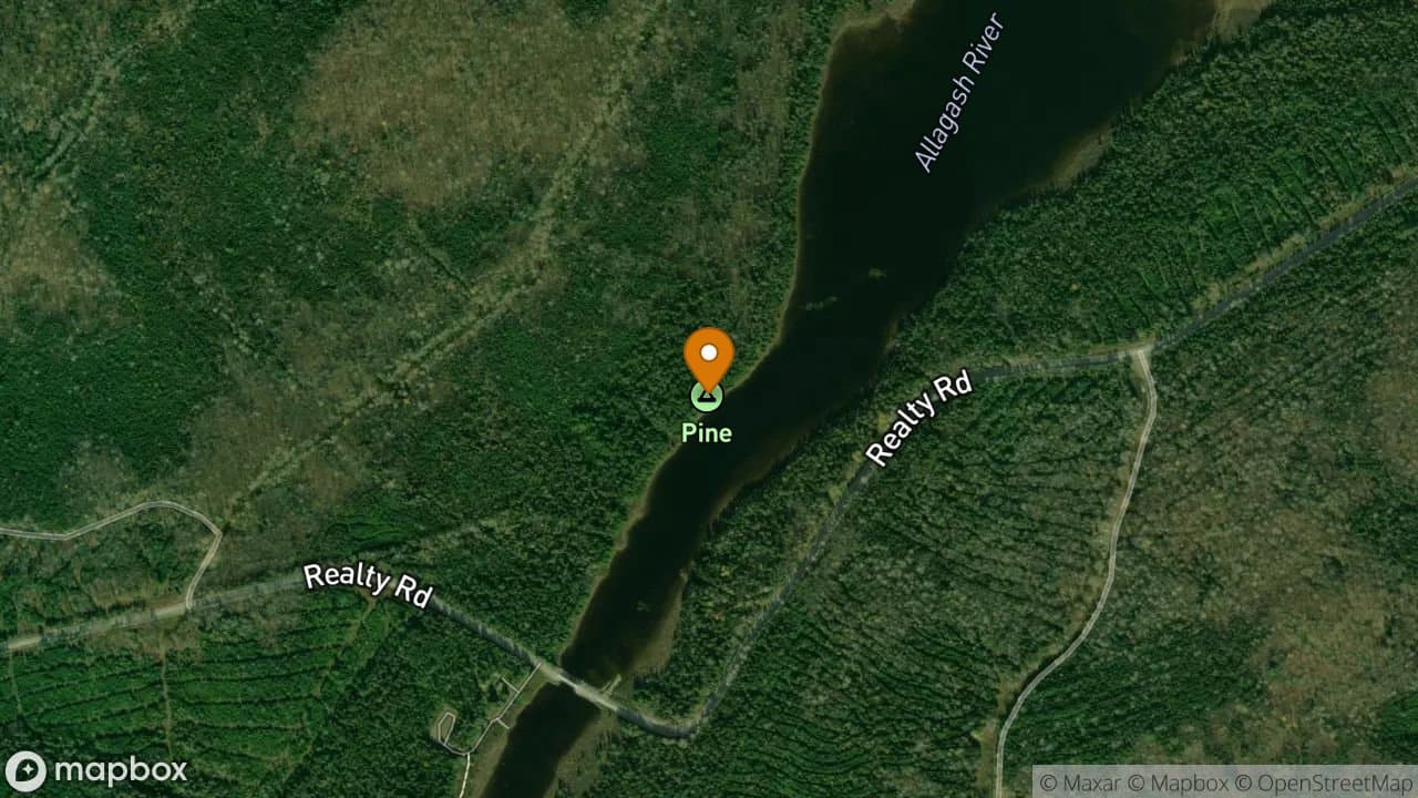 Pine campsite in Allagash Wilderness Waterway
