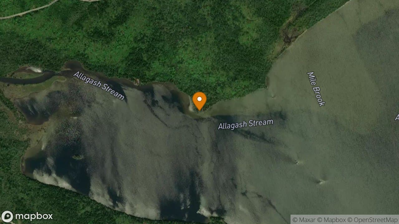 Sandy Point campsite in Allagash Wilderness Waterway