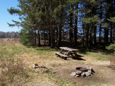 Connor Farm Campsite